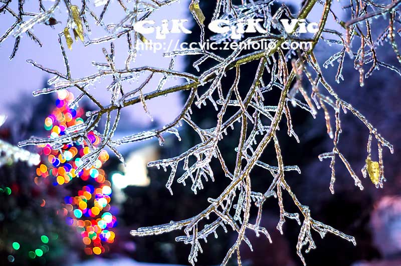 Winter Scene during 2013 Ice Storm in Toronto. Photo Credit Vincent Banial and Uniquely Toronto