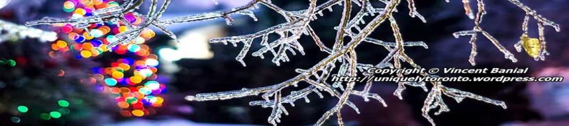 photo from 2014 Ice Storm in Toronto. Photo credit Vincent Banial and Uniquely Toronto