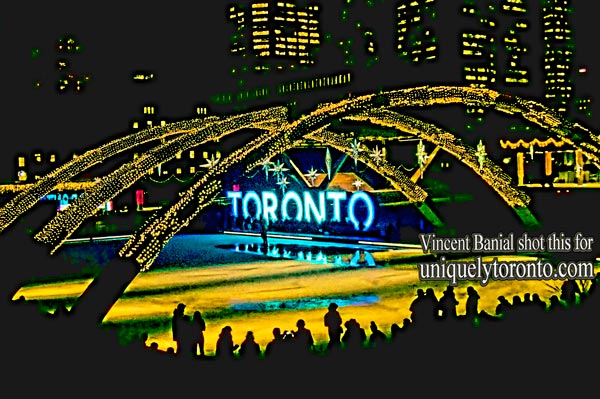 Photo of 2015 Nathan Phillips Square. Toronto Christmas Tree. Photo credit Vincent Banial