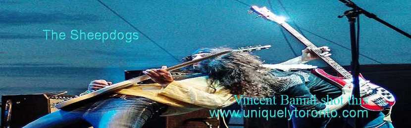 Photo of "The Sheepdogs". Photo credit Vincent Banial