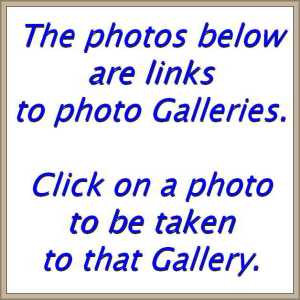 Link to Gallery 600x600-web